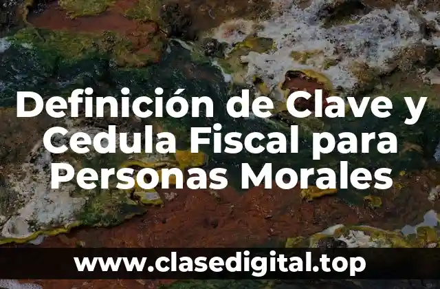 Ejemplos de Clave y Cedula Fiscal para Personas Morales