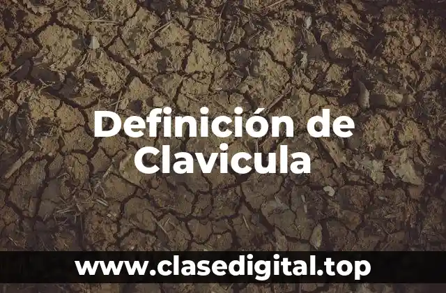 Definición de Clavicula