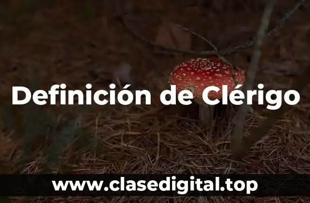 Definición de Clérigo