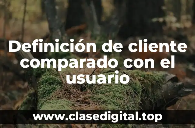 Definición de cliente comparado con el usuario