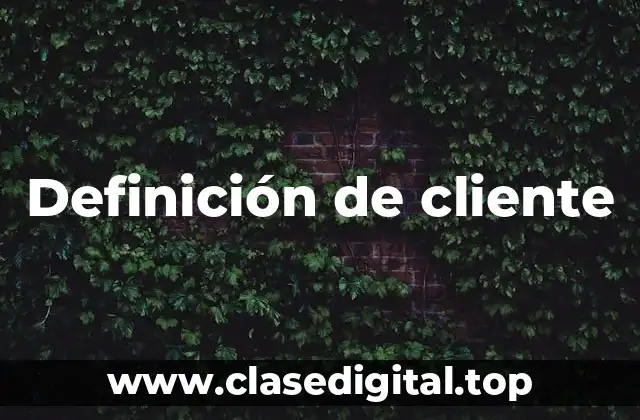 Definición técnica de cliente-servidor