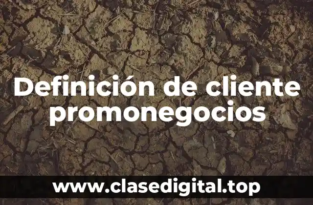 Definición de cliente promonegocios