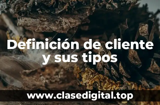 Definición de cliente y sus tipos