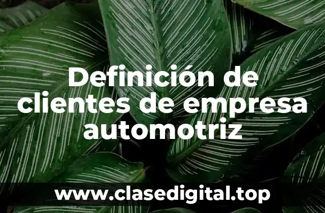 Definición de clientes de empresa automotriz