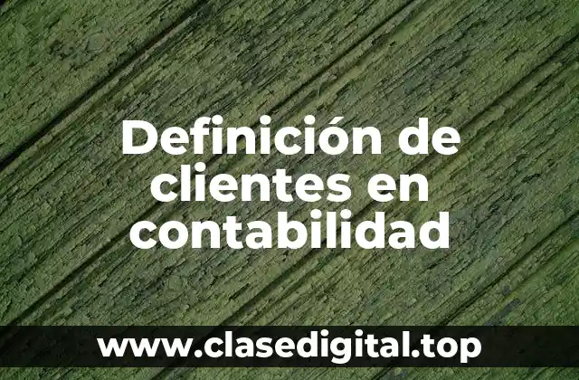 Definición de clientes en contabilidad