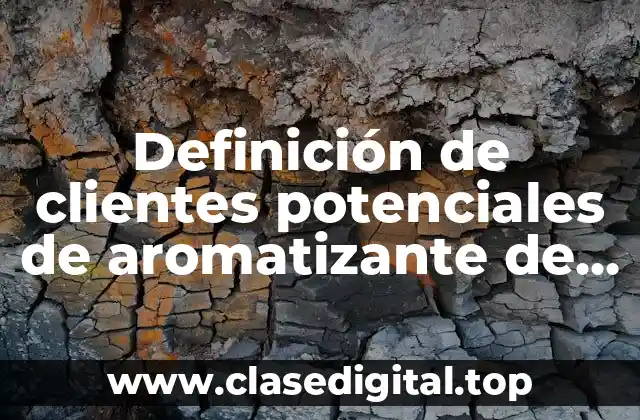 Definición de clientes potenciales de aromatizante de carros