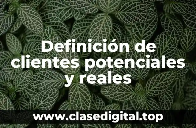 Definición de clientes potenciales y reales