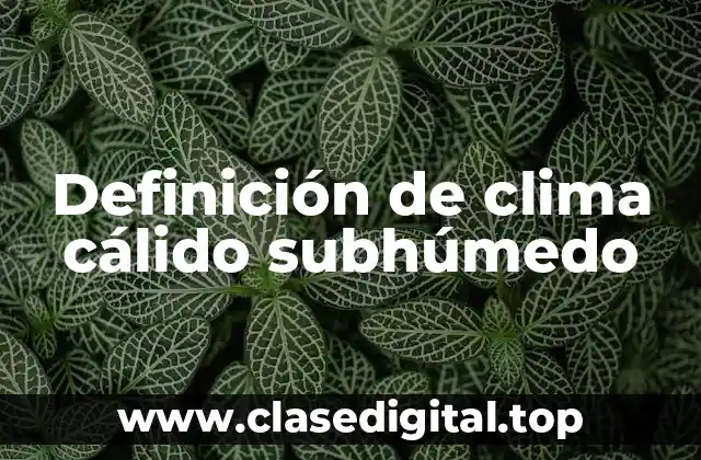 Definición de clima cálido subhúmedo