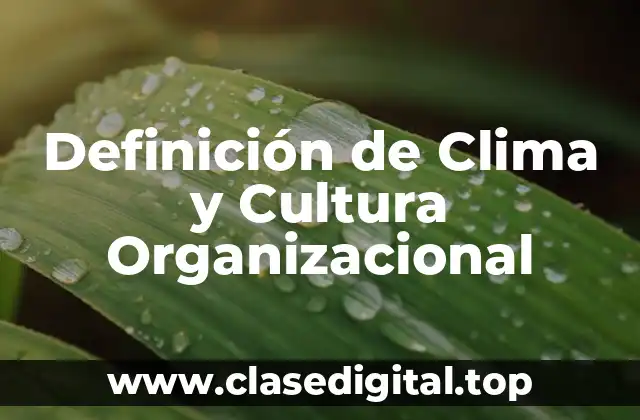 Definición de Clima y Cultura Organizacional