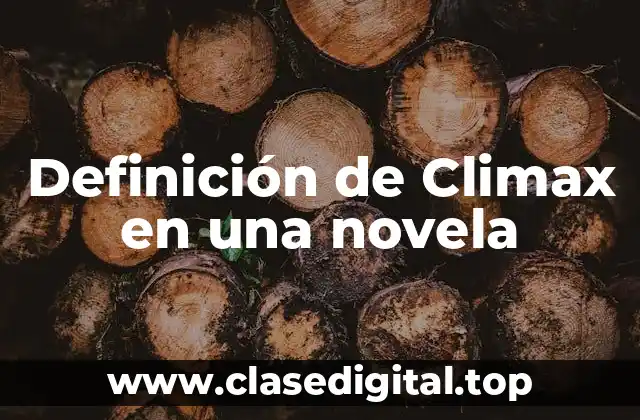 Definición de Climax en una novela