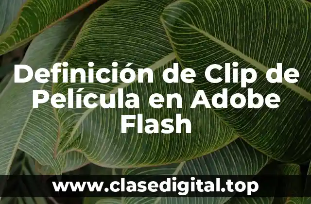 Definición de Clip de Película en Adobe Flash
