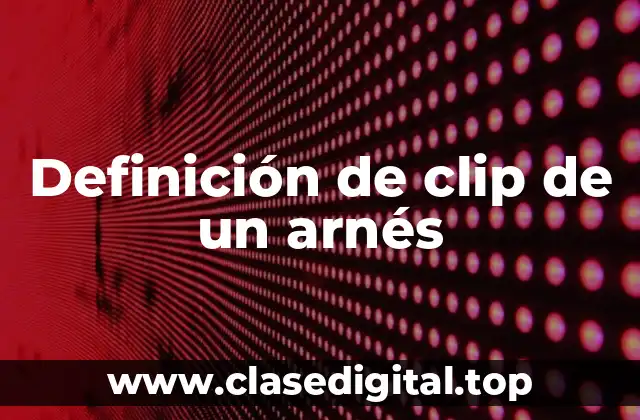 Definición de clip de un arnés