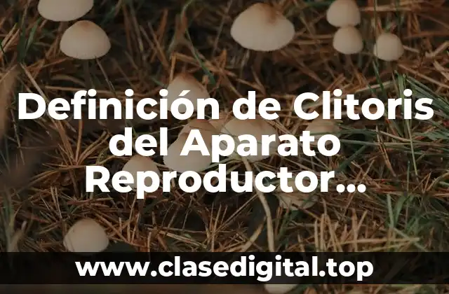 Definición de Clitoris del Aparato Reproductor Femenino