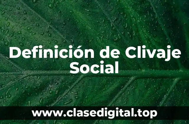 Definición de Clivaje Social