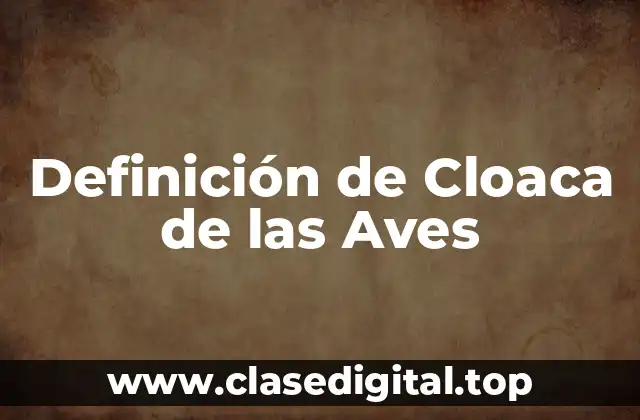 Definición de Cloaca de las Aves