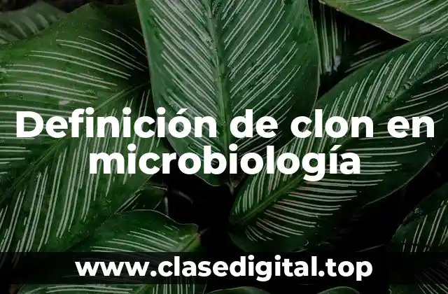 Definición de clon en microbiología