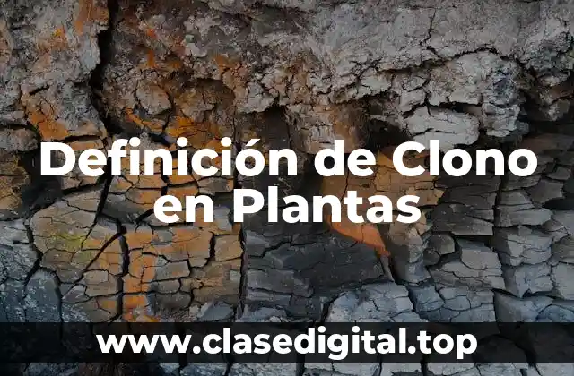 Definición de Clono en Plantas