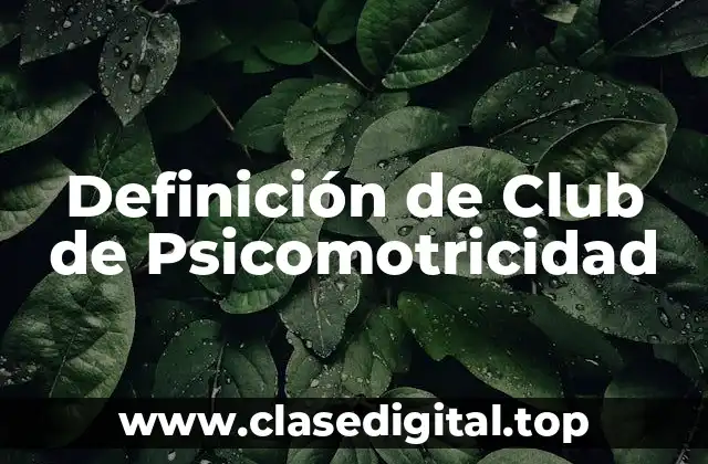 Definición de Club de Psicomotricidad