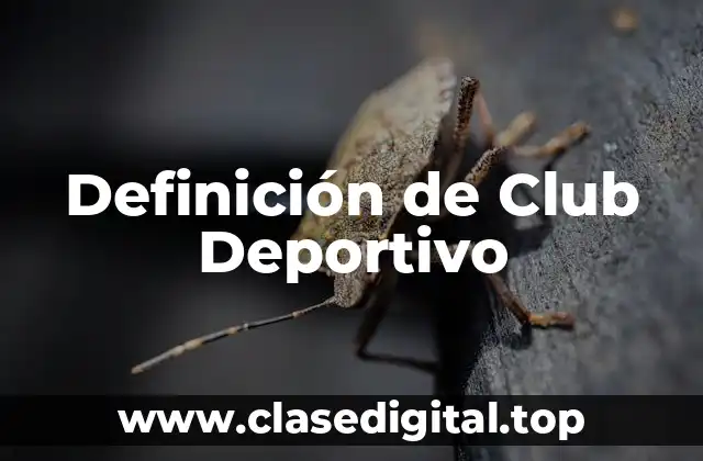 Definición de Club Deportivo