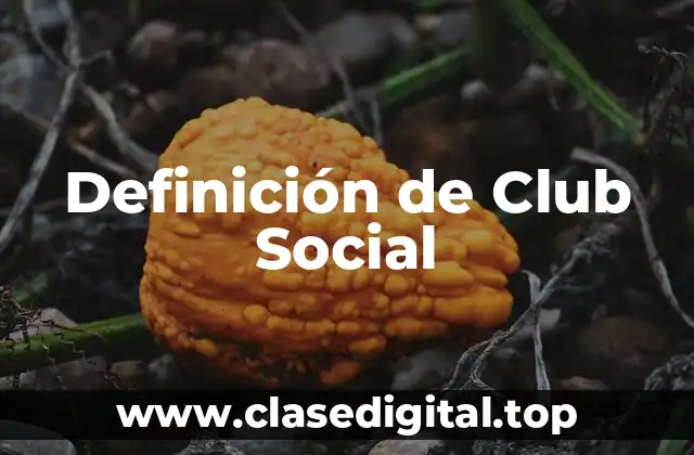 Definición de Club Social
