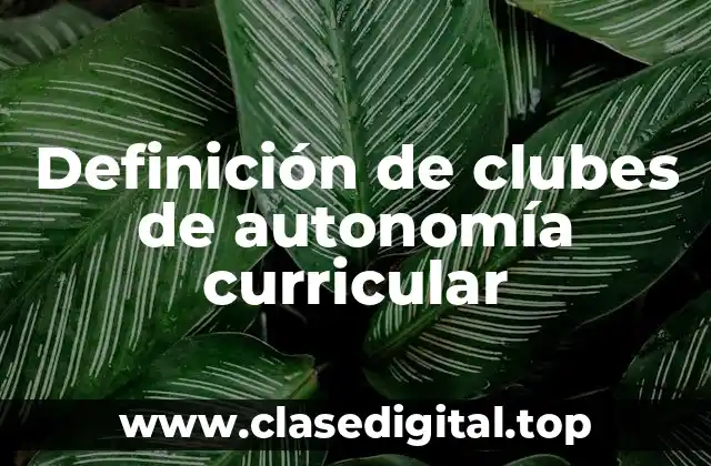 Ejemplos de clubes de autonomía curricular