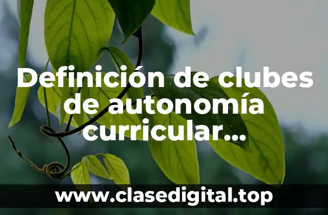 Definición de clubes de autonomía curricular secundarias