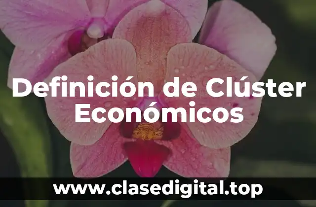 Definición de Clúster Económicos