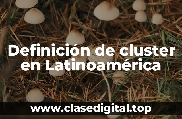 Definición de cluster en Latinoamérica