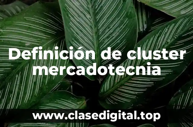 Ejemplos de cluster mercadotecnia