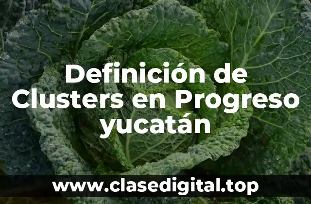 Definición de Clusters en Progreso yucatán