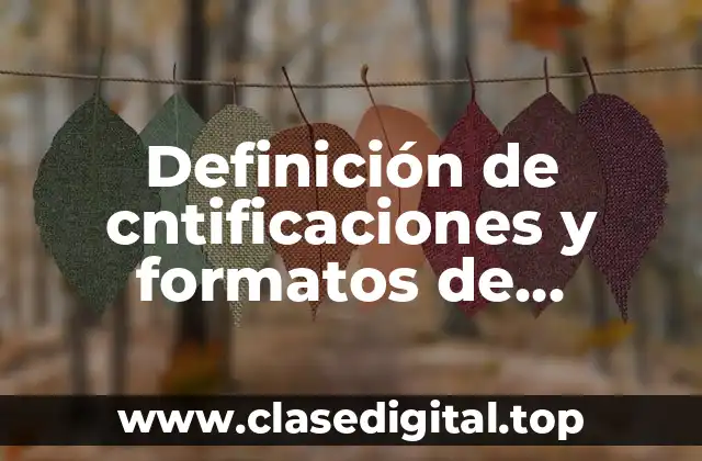 Definición de cntificaciones y formatos de cuantificaciones