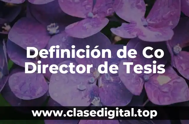 Definición de Co Director de Tesis