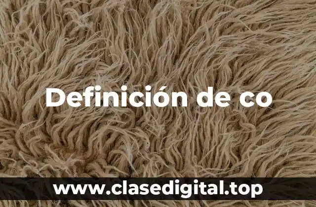 Definición técnica de co-constructivismo