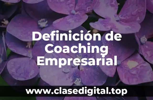 Definición de Coaching Empresarial