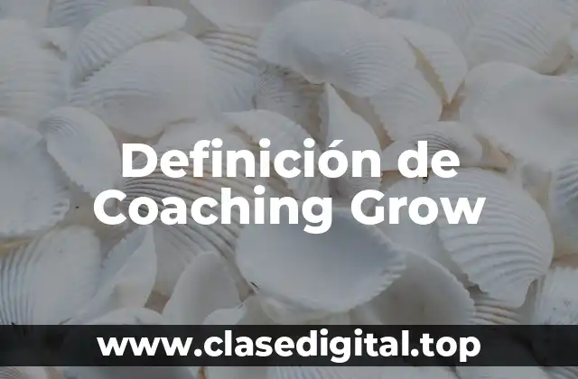 Definición de Coaching Grow