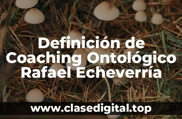 Definición de Coaching Ontológico Rafael Echeverría