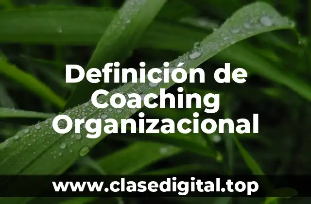 Ejemplos de Coaching Organizacional