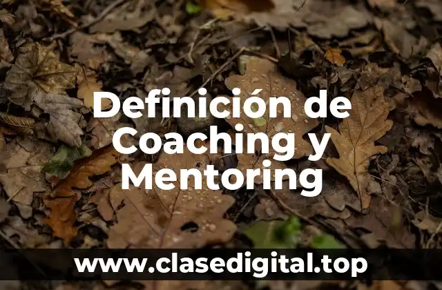 Definición de Coaching y Mentoring