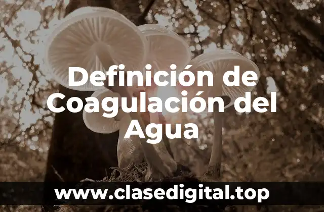 Definición de Coagulación del Agua