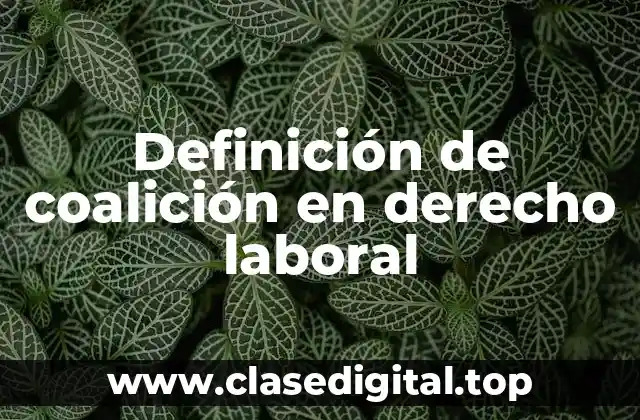 Definición de coalición en derecho laboral