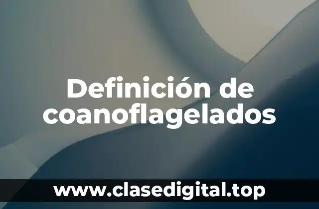 Definición de coanoflagelados