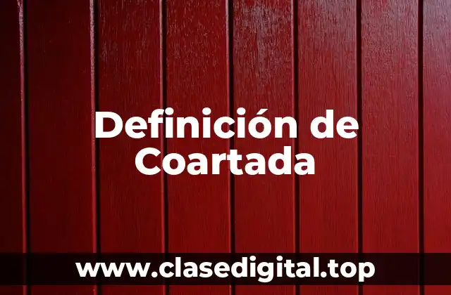 Definición técnica de coartada