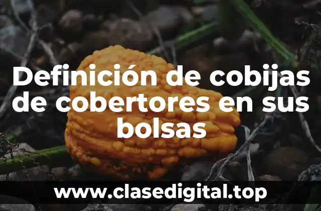 Definición de cobijas de cobertores en sus bolsas