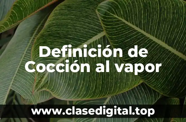 Definición de Cocción al vapor