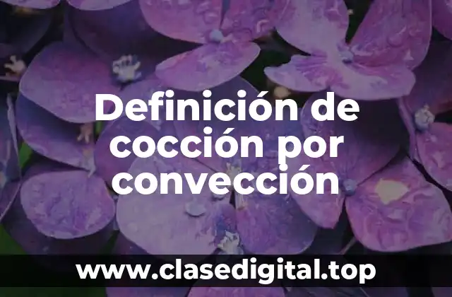 Definición de cocción por convección