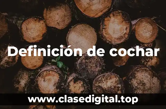 Definición de cochar