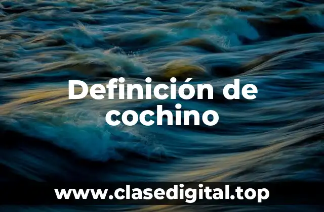 Definición de cochino