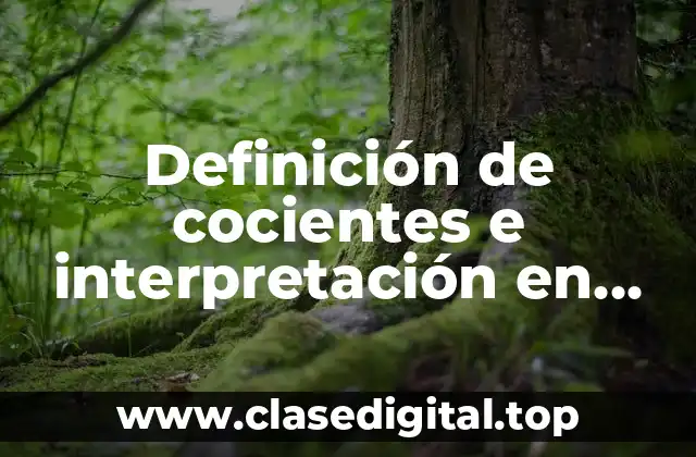 Definición de cocientes e interpretación en informática