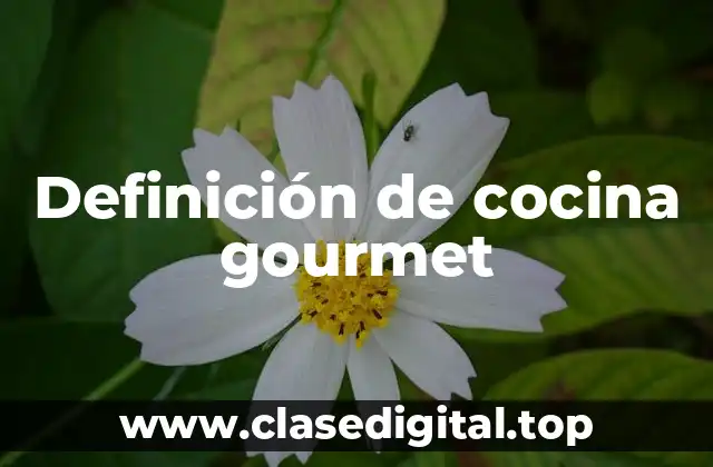 Definición de cocina gourmet