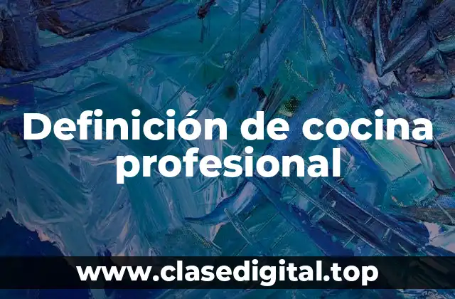 Definición de cocina profesional